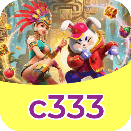 Performance c333